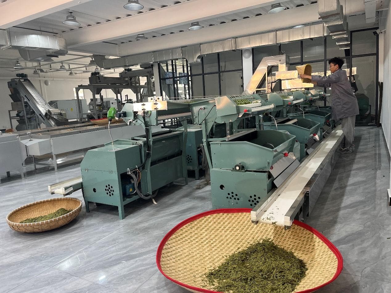 共富带头人丨“新茶人”刘小权：数字化赋能推动传统茶产业转型升级