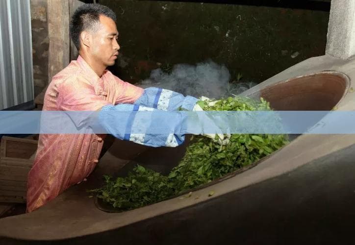 普洱茶烹饪指南：多种菜肴推荐与制作方法详解