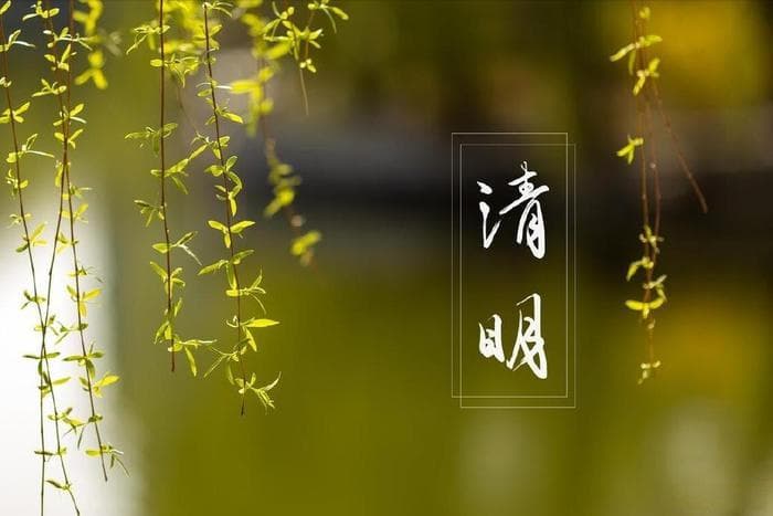 清明扫墓，老祖宗留下的“4个规矩”要牢记，尊重传统，祈福安康