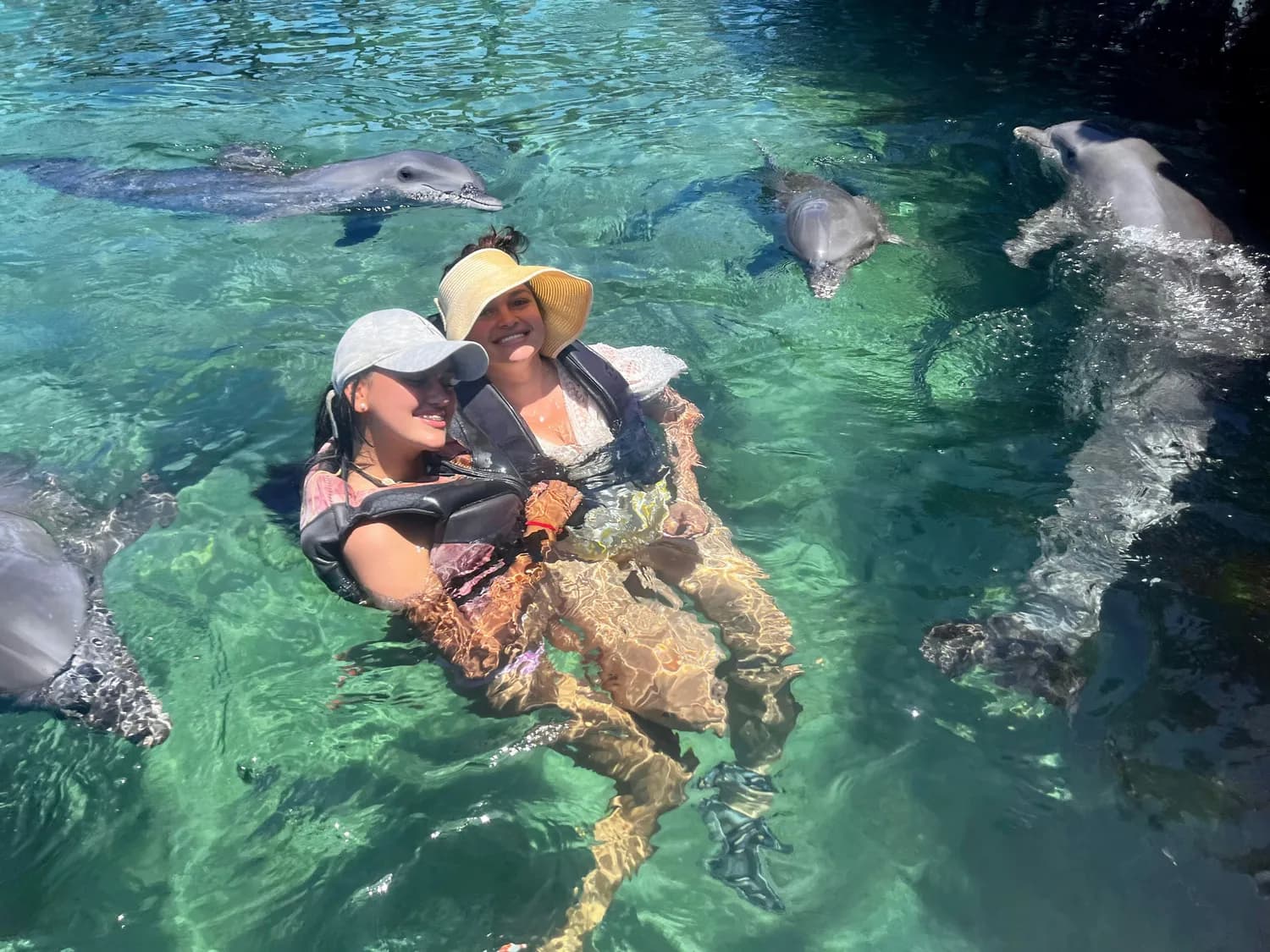 湛江：一群人的白海豚守护之旅