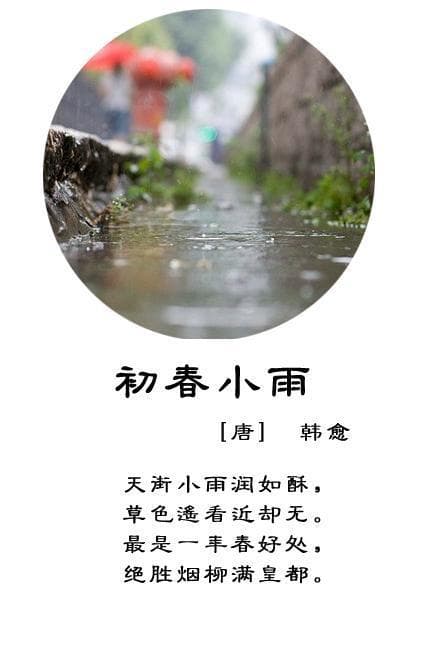 春雨的儿童诗句有哪些？春雨悄悄话：孩子们的诗歌妙句!