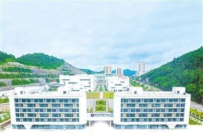 道地药材+精深加工，恩施州中药材产业链产值达245亿元