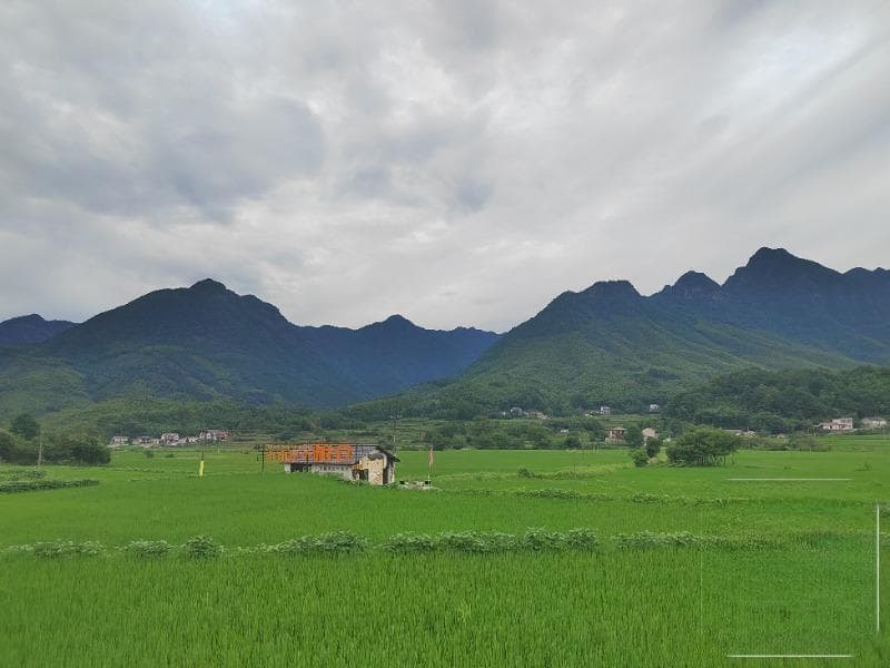 泾县一公务员辞职 在乡村开三家咖啡店