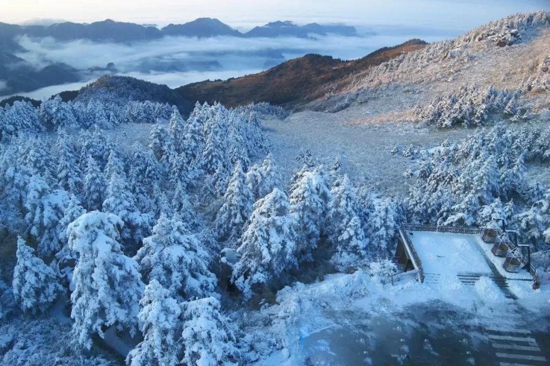 雪落神农架，美成了童话