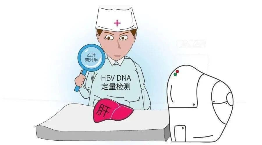 乙肝抗病毒治疗应定期做哪些监测？