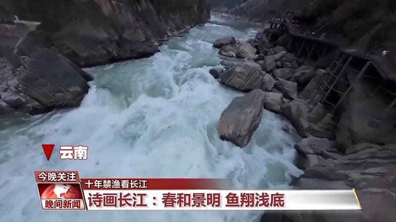长江鱼类野外种群恢复如何？还需要持续禁渔吗？