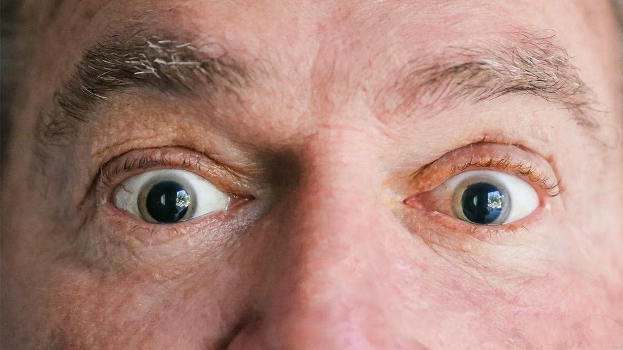 红花的功效与作用：从传统应用到现代研究