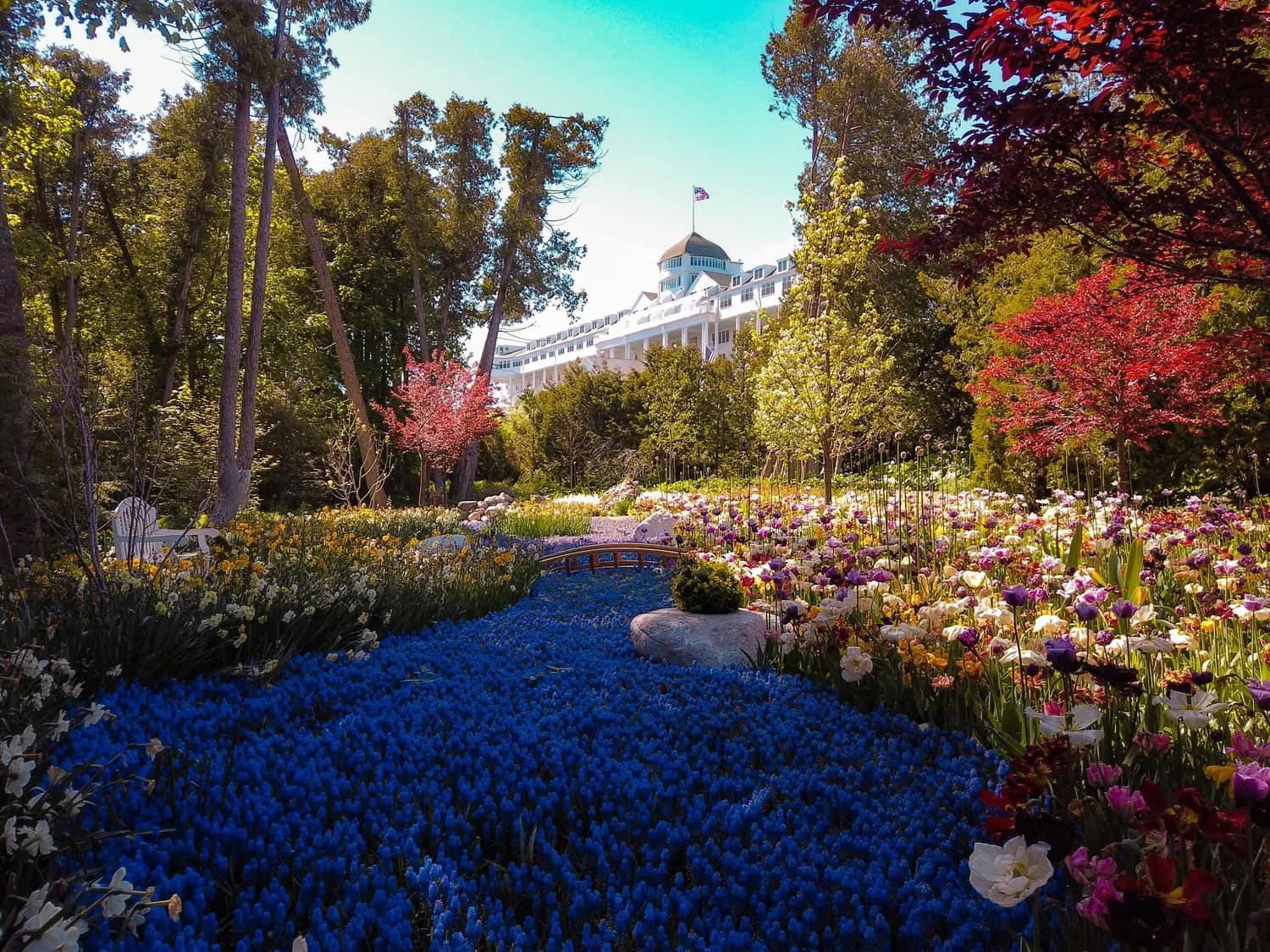 上海冬季赏花攻略：辰山植物园迎春花展全指南