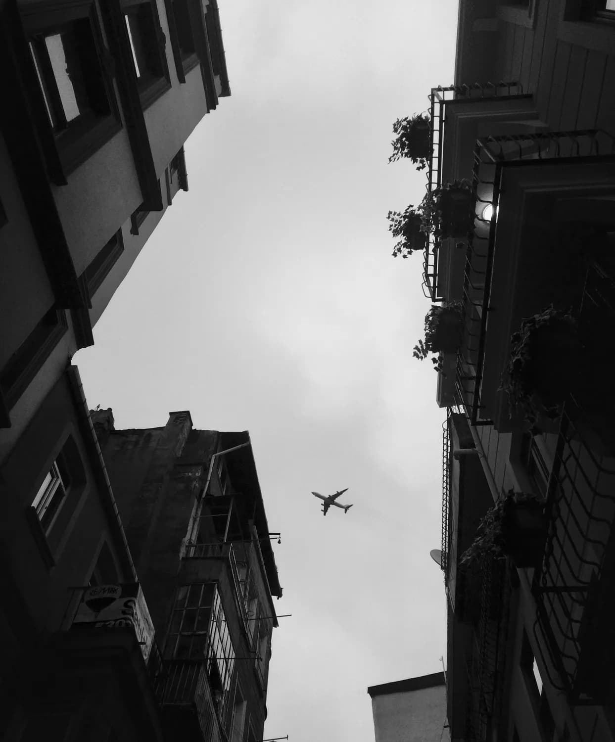 旅行摄影技巧大揭秘：如何拍出完美瞬间？