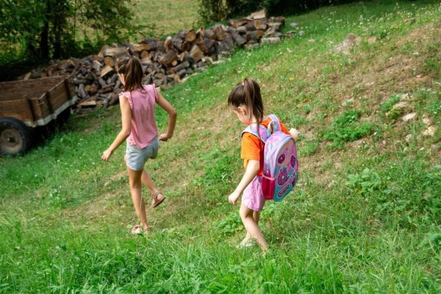 播撒艺术的种子：家庭教育如何培养孩子