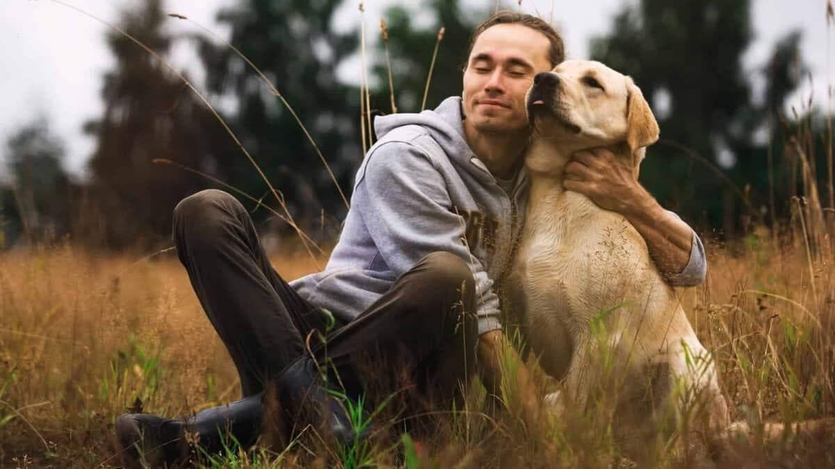 22 种狗狗会爱你胜过爱自己
