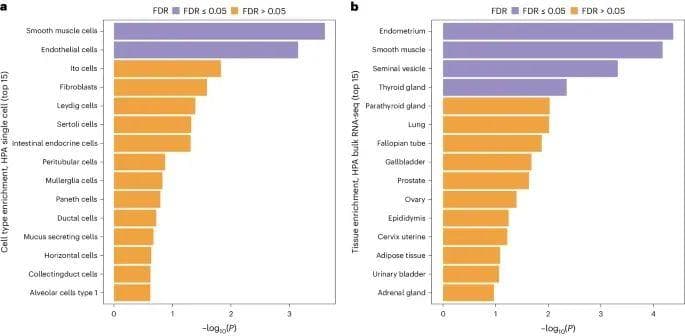 Nature Genetics最新研究：孕酮信号失调与产后出血的遗传关联