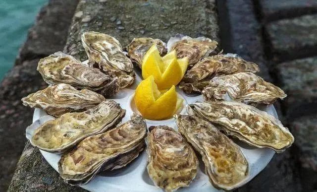 牡蛎与生蚝：同源异名的海鲜美味