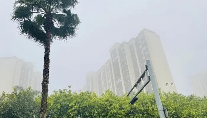 什么是主动式空气净化机？主动式空气净化机的优缺点