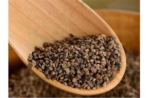 利尿消肿的地肤子：两种保健食用方法