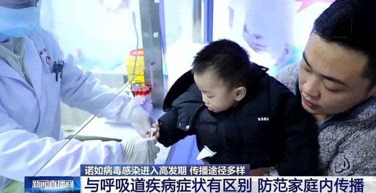 检出阳性，121名小学生集体感染！诺如病毒仍在高发