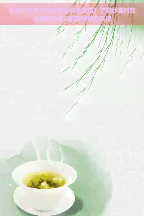 隔夜柠檬茶冷藏后能否安全饮用？了解冰箱对饮品保存的影响和正确保存方法