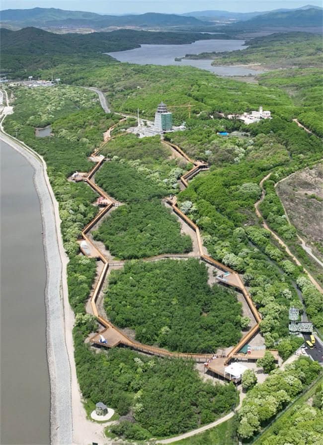 一“栈”赏三国 珲春防川景区三国边境木栈道成为国道G331打卡新地标
