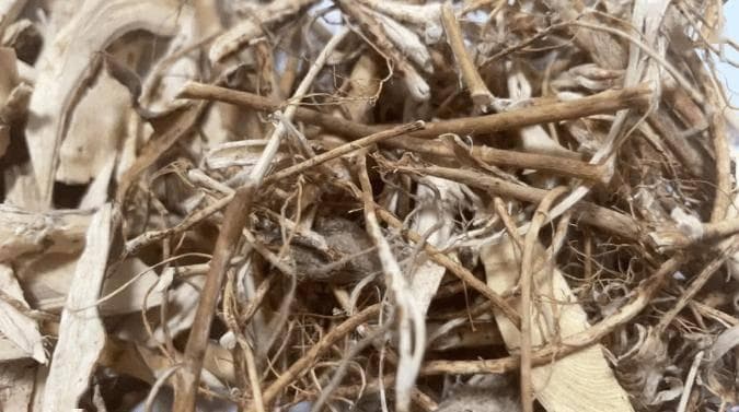 五指毛桃煲汤，最适合三类人群食用