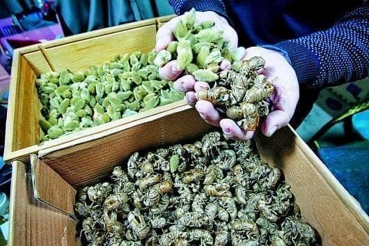 山东手造 天桥百工丨济南毛猴，惟妙惟肖绘习俗