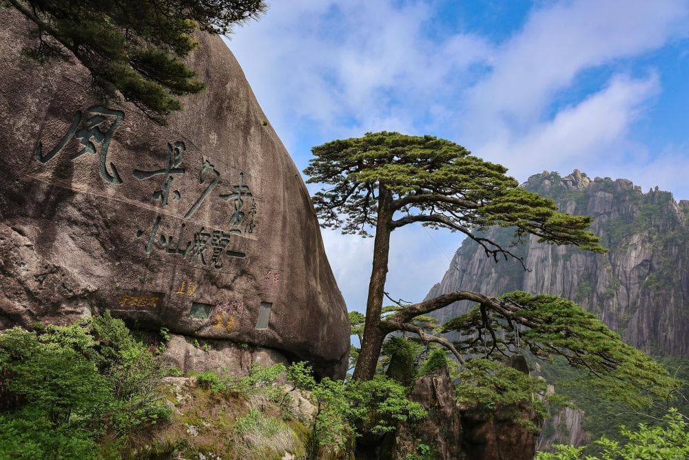 “大黄山”：开拓新业态 锚定国际化
