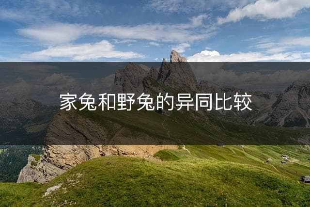 家兔和野兔的异同比较