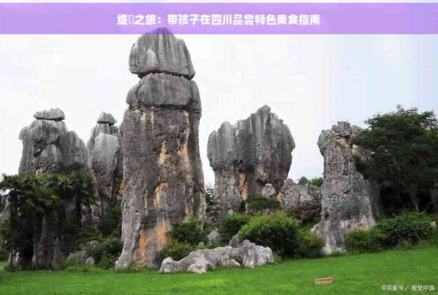 缇庨之旅：带孩子在四川品尝特色美食指南