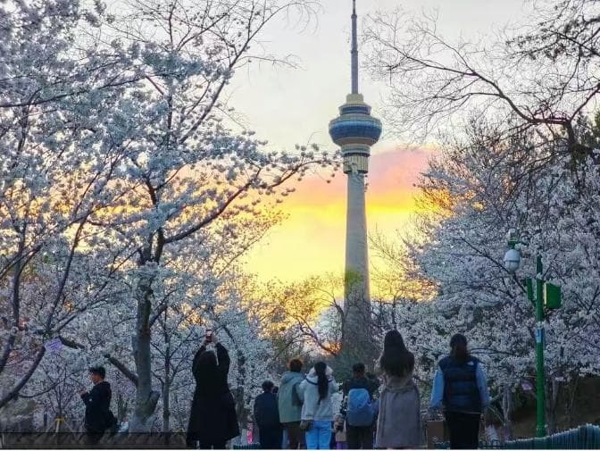 清明假期文旅活动丰富多彩 市民游客共享春日美好