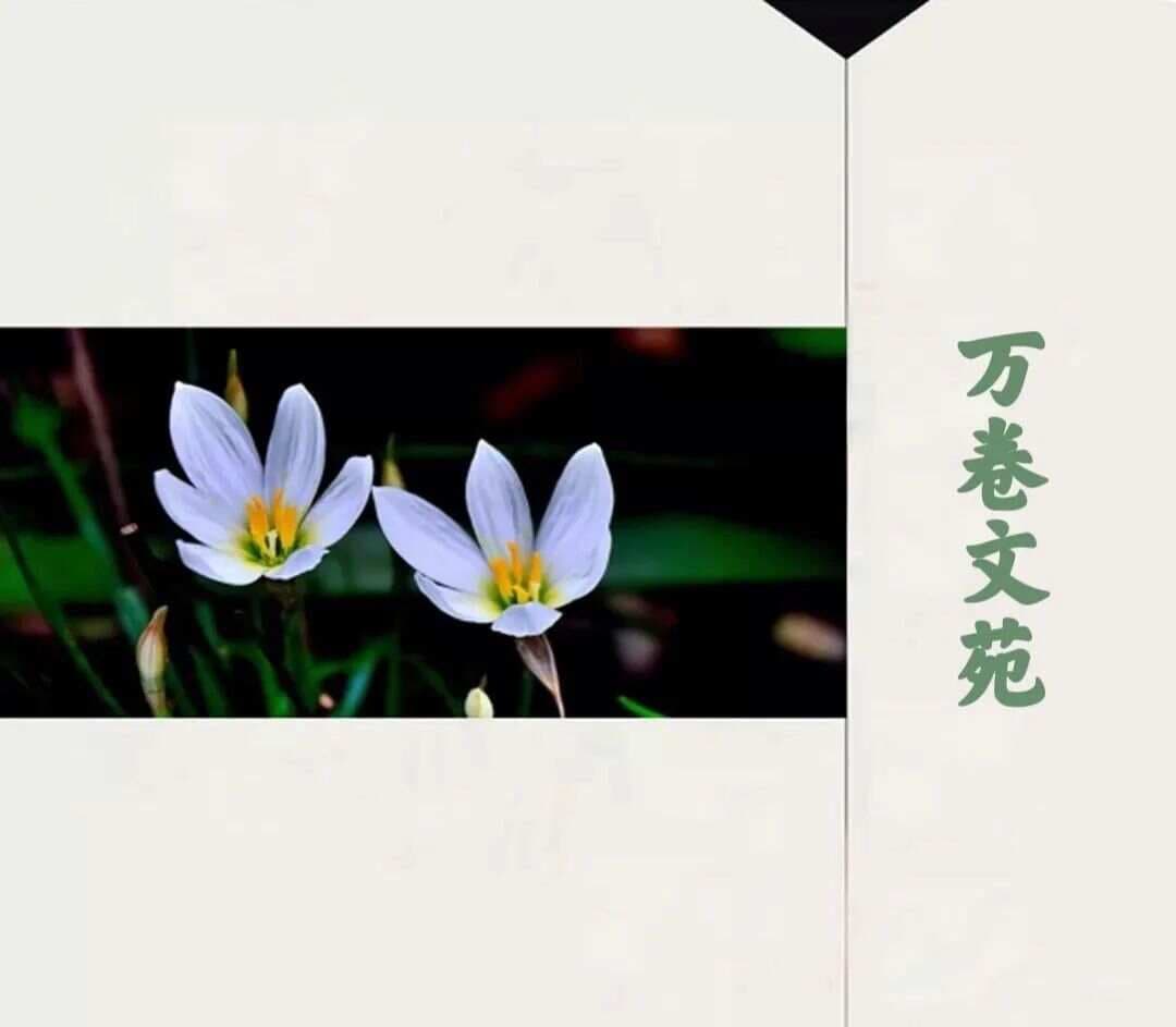 翻过那座山