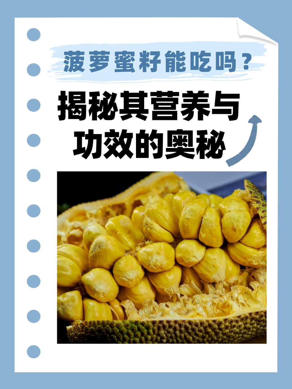 菠萝蜜籽能吃吗？揭秘其营养与功效的奥秘