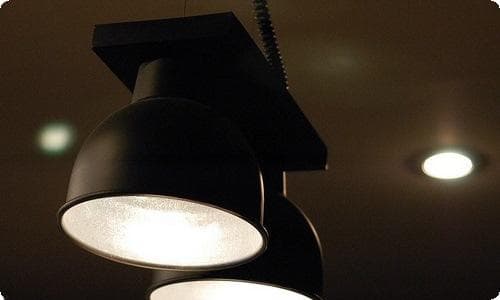 幼儿园新学期安全工作计划