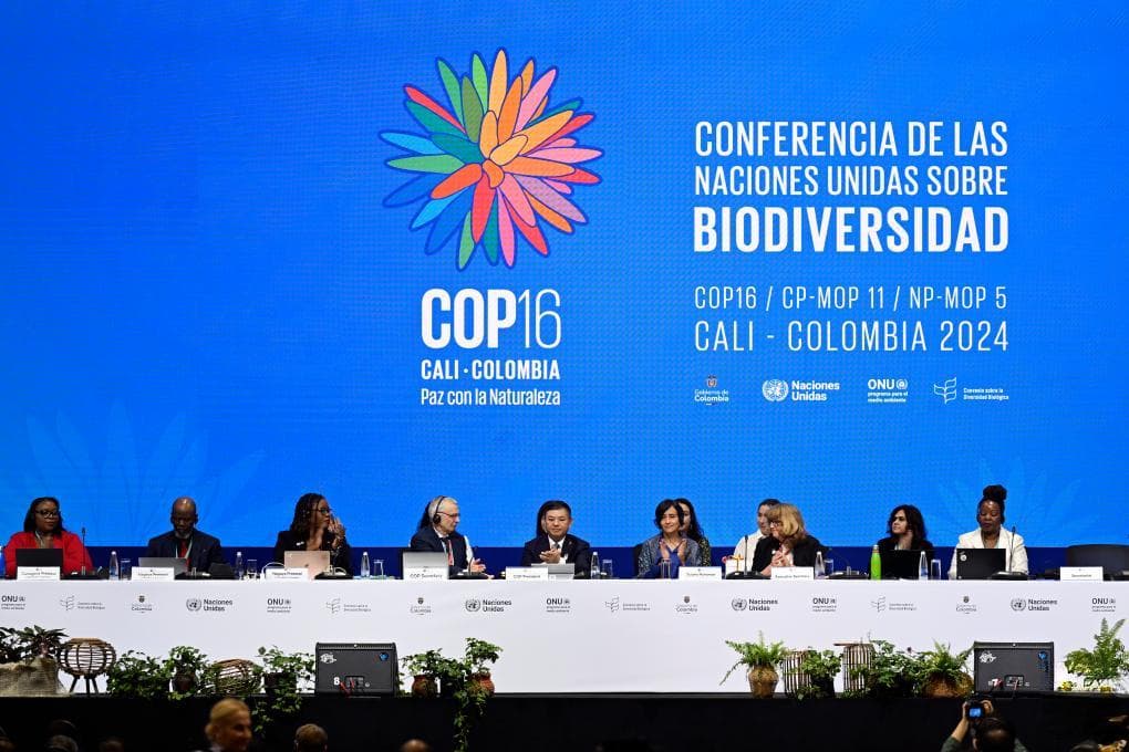 COP16聚焦“昆蒙框架”实施，中国与哥伦比亚完成主席交接