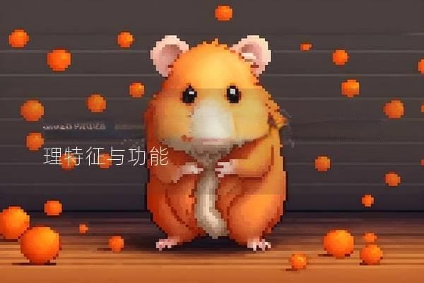 仓鼠香腺是什么？揭秘仓鼠独特的生理特征与功能