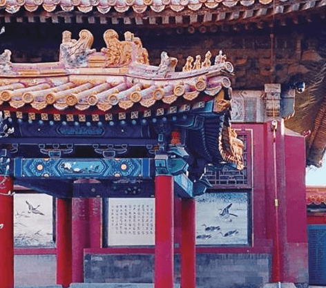 清朝什么人才有资格当皇后 皇后需要做什么事情
