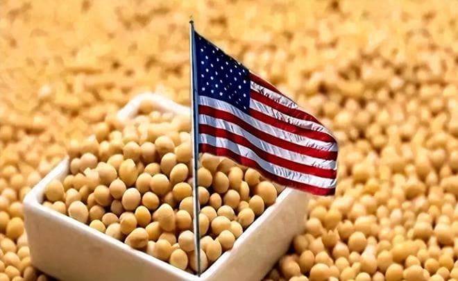 9000万吨！为何中国大量进口美国转基因大豆，不考虑俄罗斯的大豆