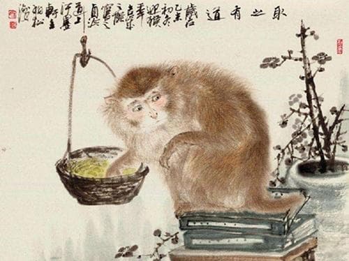 属猴属兔能成眷属？性格互补是关键
