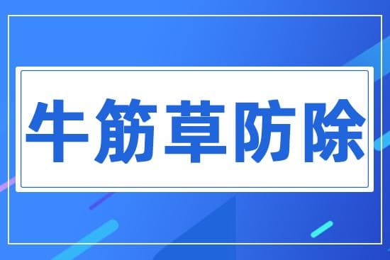 牛筋草、芦苇泛滥治不住？牛筋草防除攻略！