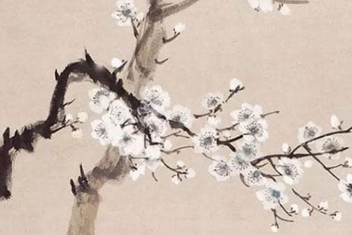 属猪人的本命佛与守护神解析：阿弥陀佛如何守护猪年出生者