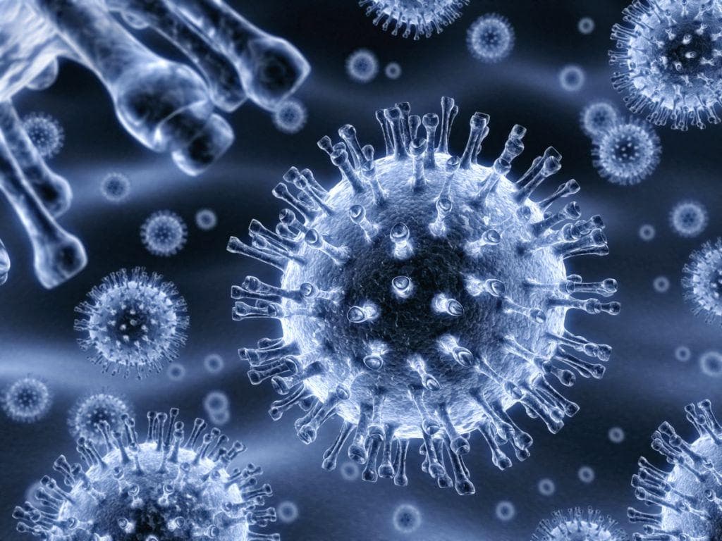 近期新冠病毒最新变异有哪些？2024新冠病毒最新变异株全解析！