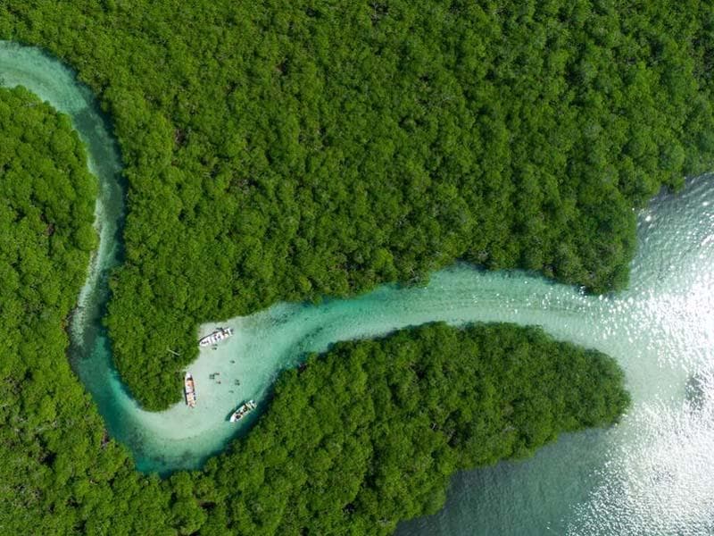 总磷测定仪标准曲线的绘制及检测干扰因素详解