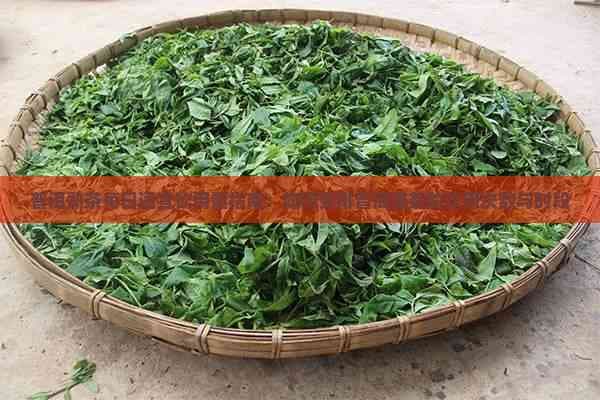 普洱熟茶每日适宜饮用量指南：如何安排普洱熟茶的饮用次数与时段