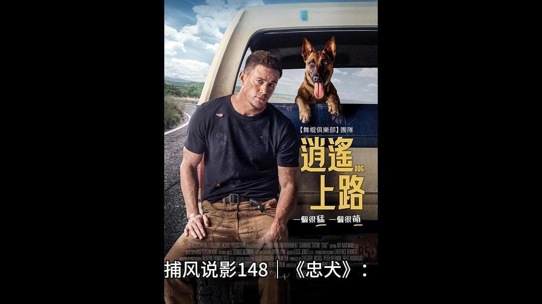 《忠犬》：人犬情深，穿越伤痛的勇气与爱
