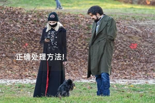 被狗咬了要打破伤风吗？专家告诉你正确处理方法！