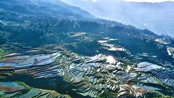 从手抓饭到野生菌：云南5道最具特色的民族美食