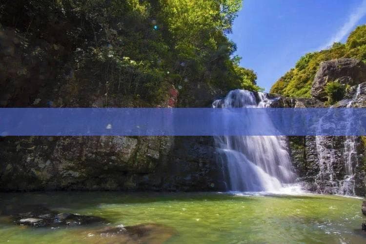 探秘四川碧峰峡：自然奇观与生态秘境之旅