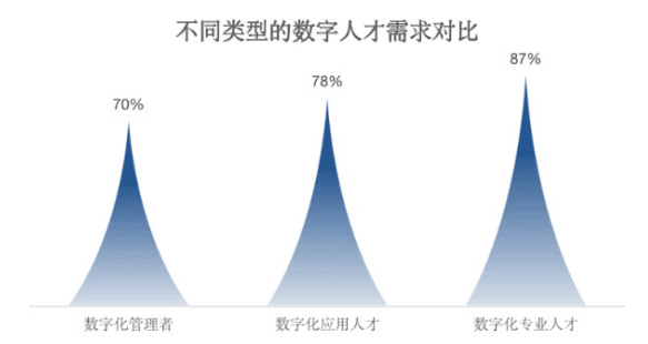 深度解读《2024数字人才白皮书》：透视数字人才困境与解决之道