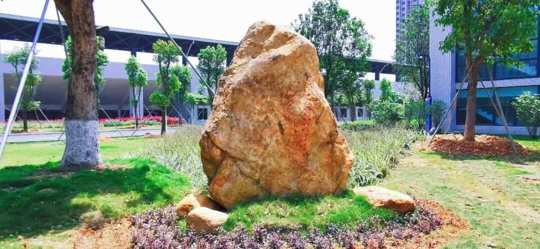 剧透！南沙九所名校规划参数，招生详情、办学定位、地段区域！入读优质学位机会大增