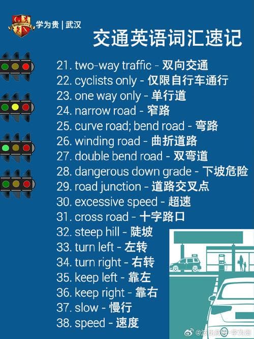 英语交通规则完全指南：从信号灯到驾驶规范，一文掌握国际道路规则！