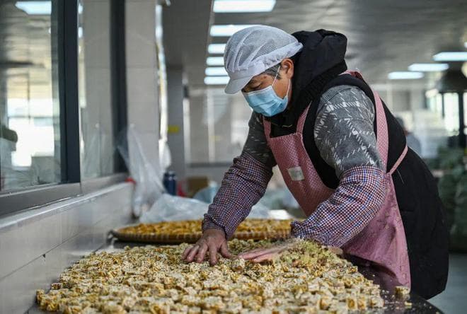 义乌李宅村：麻糖飘香里的非遗传承