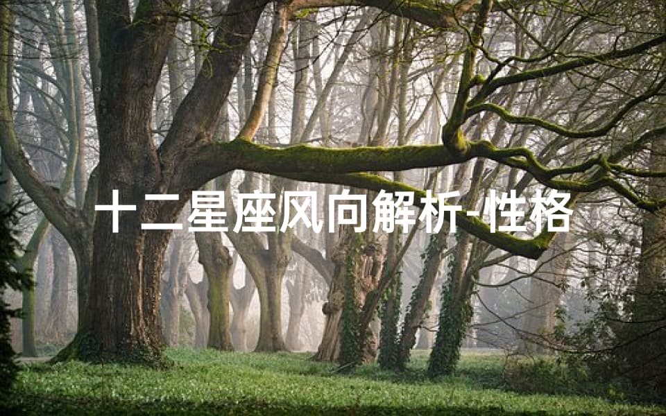 十二星座风向解析-性格特征与适应策略